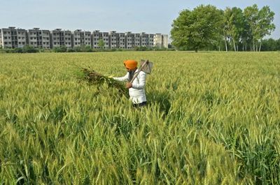 India Says 'Examining The Implications' Of US Tariffs