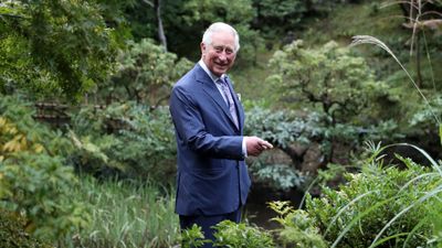 King Charles is reportedly recovering at Highgrove House – a master gardener says his sensory grounds are designed for healing