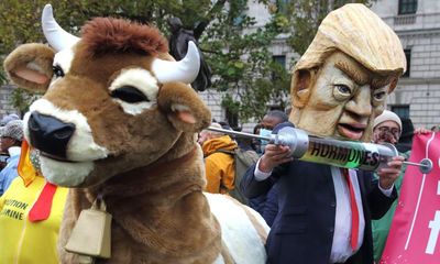 From hormone-treated beef to tech taxes: what’s at stake in UK-US trade talks?