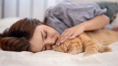 Cats with the right personality can be surprisingly effective in therapy, new study suggests