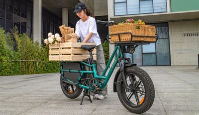 Fiido Electric Cargo Bikes: The Future of Sustainable and Efficient Urban Transport