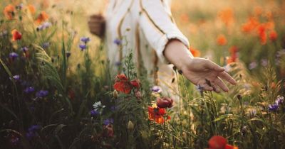Is it illegal to pick flowers in the UK? Law expert issues warning