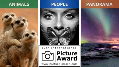 Deadline postponed for Picture Award's US$1,200 global photo contest