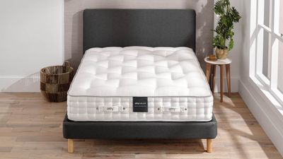 Otty’s new Natural collection shows off its most sustainable spring mattresses yet