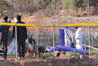 Pilot dies after his helicopter crashes while extinguishing a fire in South Korea