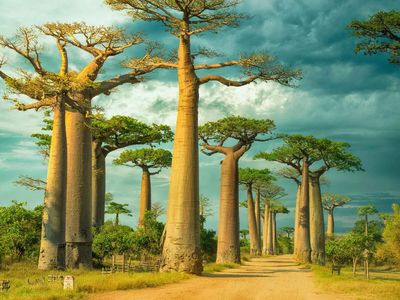 What does the world's oldest island look like?