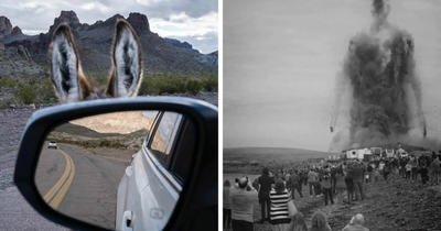48 Of The Best Amusing Photos Shared On This Instagram Page With More Than 85K Followers