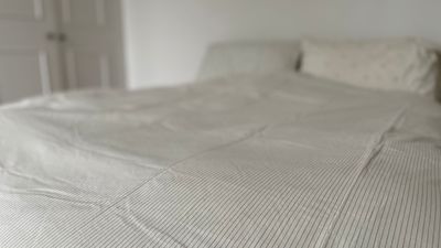 Did you know that TOAST makes bedding? It's a glorious treat