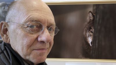 Celebrated wildlife photographer Jim Brandenburg dies aged 79