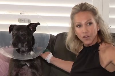 Florida woman saves her pet dog by prying open 7-foot alligator’s jaw