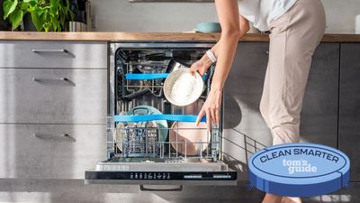 It's time to spring clean your dishwasher — expert cleaning tips on how to bring back your dishwasher's sparkle