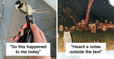 49 Times People Were Glad They Took A Pic Because The Story Would Have Been Unbelievable