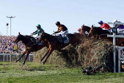 Celebre d’Allen: Grand National horse dies days after race