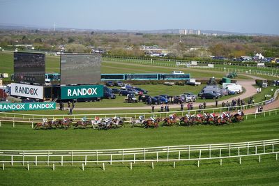 Horse that collapsed after Grand National dies