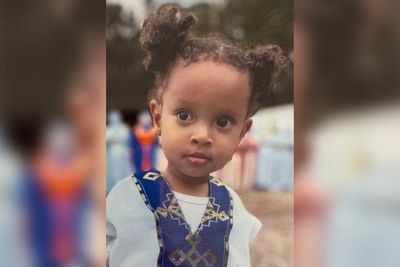 Family of 2-year-old who died from reaction to ant bites sues hospital for ‘inexcusable’ treatment