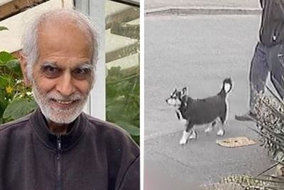 Police share CCTV of pensioner’s final moments before fatal attack as teenagers found guilty