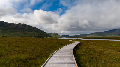 Authorities investigate after "devastating" fire decimates popular Irish coastal hike
