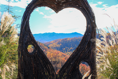 From Vows to Views: Why the Smokies Make the Ultimate Anniversary Trip