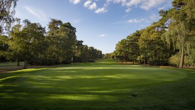 Woburn Golf Club Duke's Course Review, Tee Times and Key Info