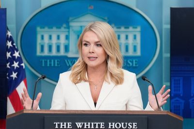 ‘Boys will be boys’: White House plays down Musk-Navarro spat over Trump tariffs