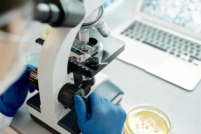 Hedge Fund Managers Are Aggressively Buying Biotech Stocks Despite Trump Hinting at Pharma Tariffs