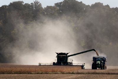 Soya beans: China and EU’s secret weapon against Trump’s tariff wars?