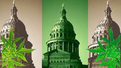 Texas House Weighs How to Get Harsh on Hemp