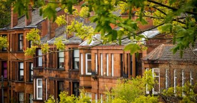 Scotland must crack down on 'property-hoarding tax avoiders', Greens say