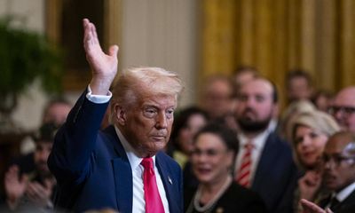 Fact check: are US tariffs really bringing in $2bn a day as Trump claims?