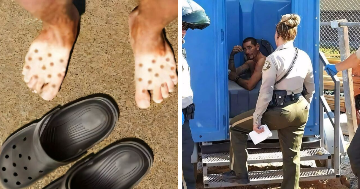 26 Random Images That Don’t Need To Make Sense To Be…