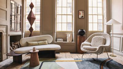 Pet vacuums vs. regular vacuums – what's the difference, and which do you really need?