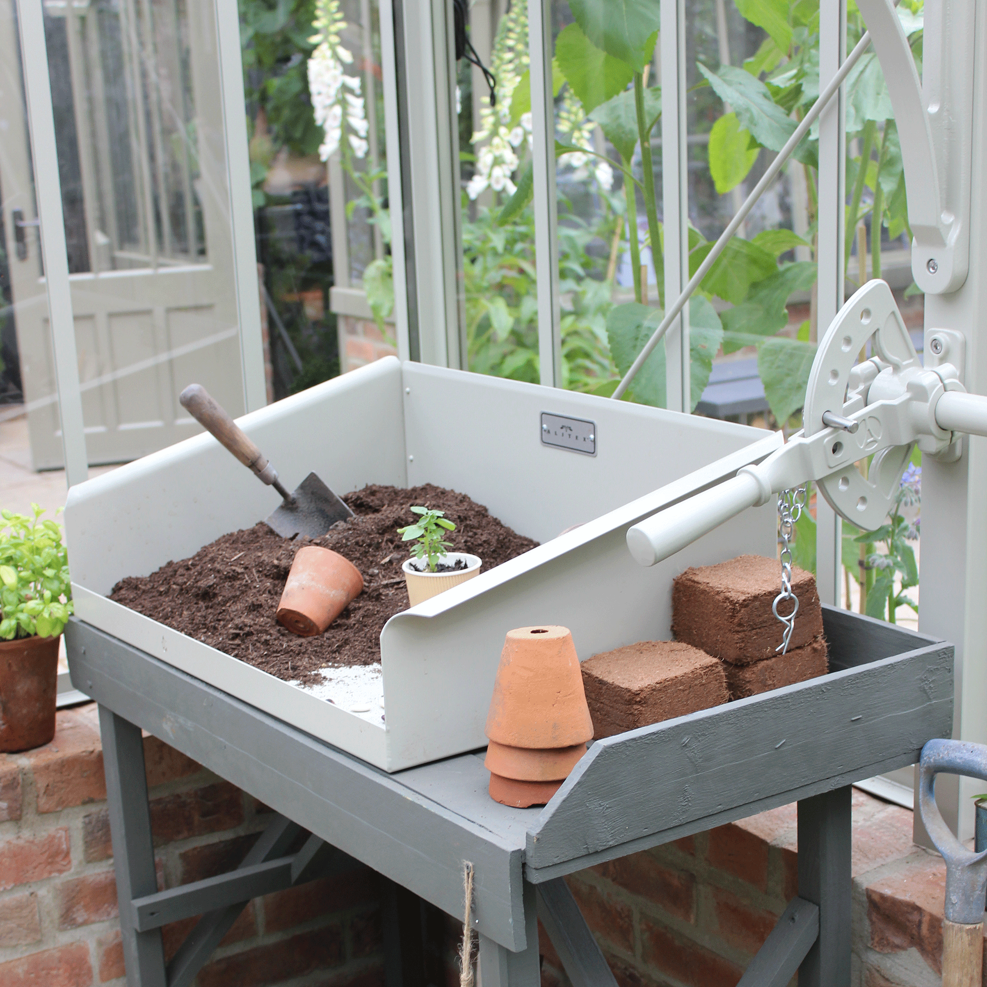 How to stratify seeds – gardening pros swear by this secret to a thriving garden