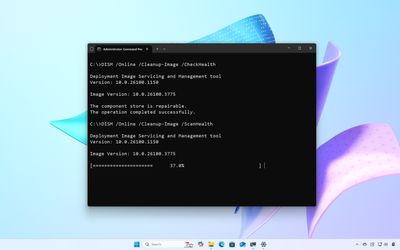How to use DISM to repair local image on Windows 11