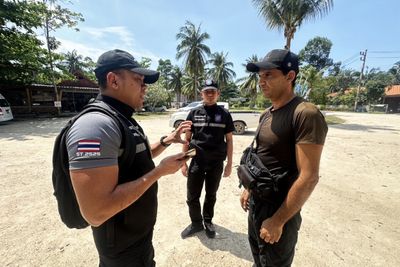 Israeli caught working as tour guide for foreign children