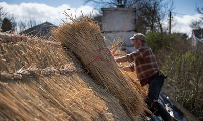 Country diary: Back to meet an old friend – my first thatch