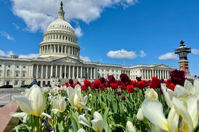 US House Votes To Limit Judges' Injunction Power