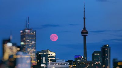 April's full 'Pink Moon' rises this weekend — here's how to see it, and why it's so special