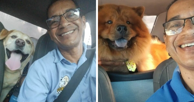 “Pet Taxi”: This Brazilian Driver Gained Fame And Love By Exclusively Chauffeuring Pets (33 New Pics)