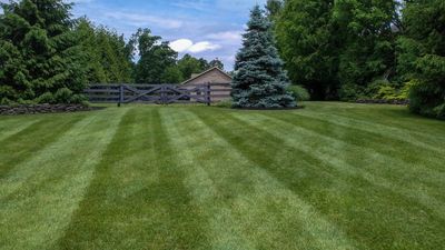 Your lawn can be lush, greener, and stronger by using this one natural, eco-friendly ingredient
