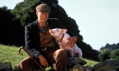 Babe review – tale of the talking sheep-pig a charming relic of its time