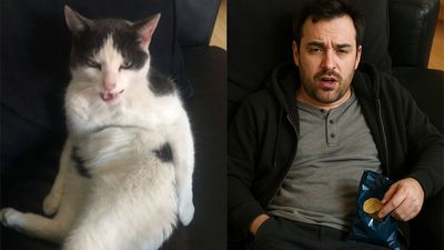 The viral ‘pet to person’ AI trend turned my cat into a weird slobby man