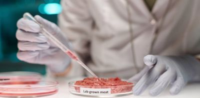 Lab-grown meat: you may find it icky, but it could drive forward medical research