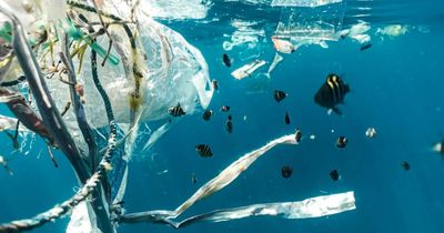 In Common: Rethinking Scotland's relationship with the sea