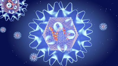 What is a hantavirus? Symptoms, treatments, prevention and how it spreads