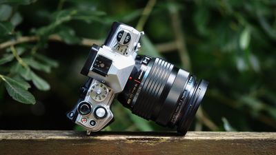 Should your camera's lens really rattle like that?