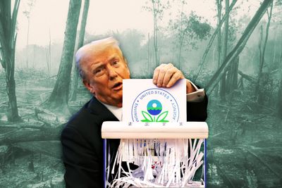 Trump’s EPA to stop greenhouse gas data