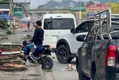 Man fined B10,000 baht for dragging dog behind motorcycle