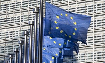 Labour MPs urge ministers to focus on rebuilding trading relationship with EU