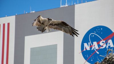 Elon Musk's DOGE team given 'alarming degree' of access to NASA systems, House Democrats say