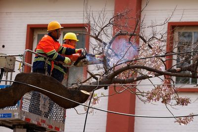Hundreds of flights cancelled and millions told to stay indoors as gales lash China